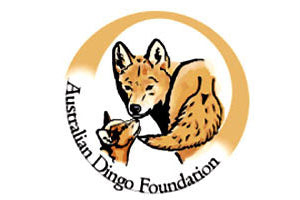 Australian Dingo Foundation