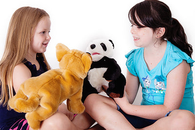 Puppets in Education