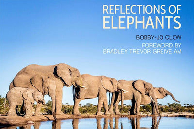 Reflections of Elephants