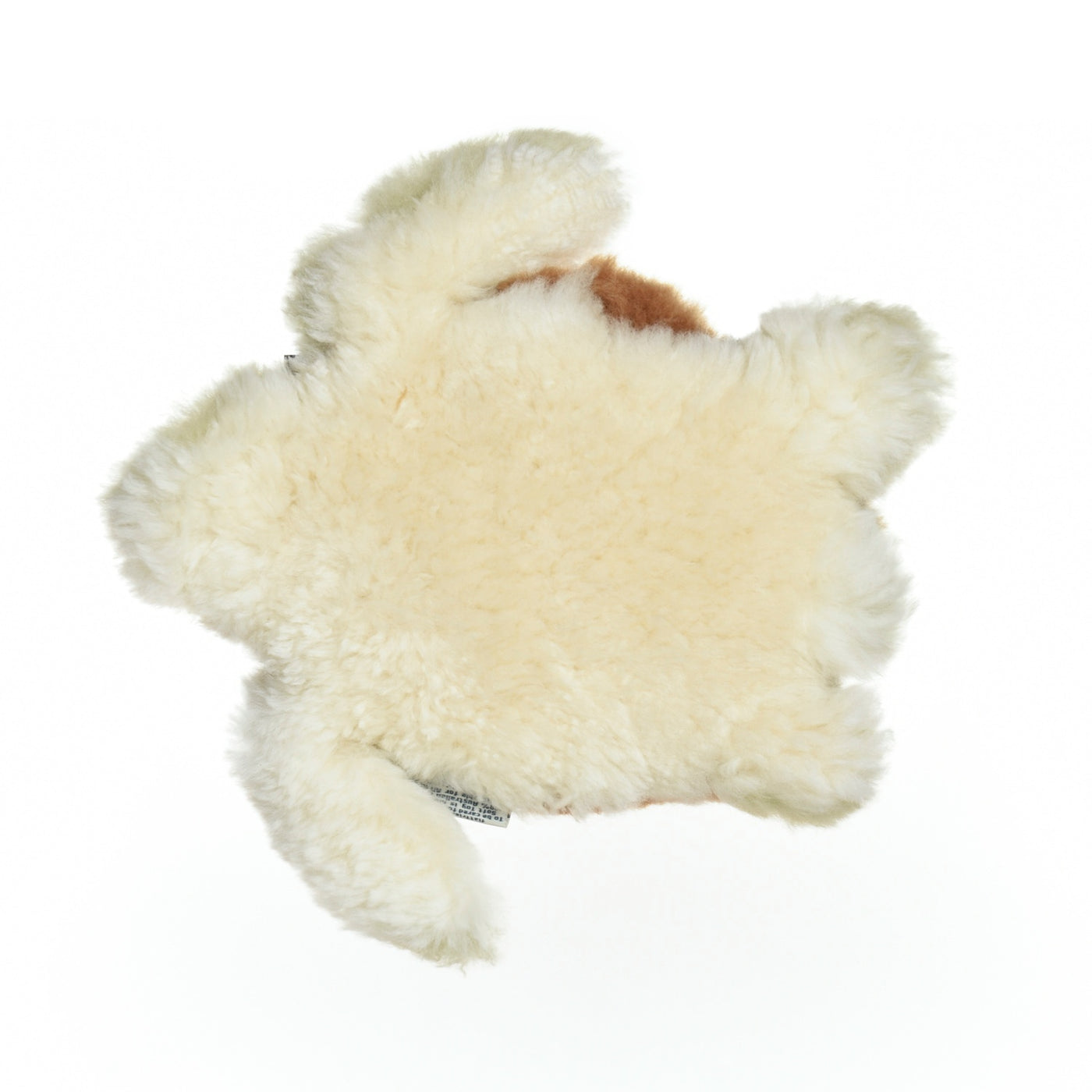    Sheepskin Sea Turtle Back