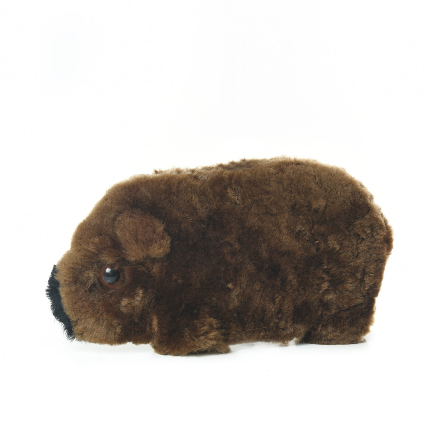    Sheepskin Wombat Front